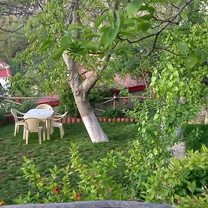 Ferienhaus Roleo, Lini